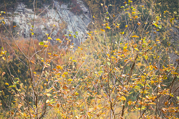 20141008 Wed 3 NH Conway 8T5A5268
