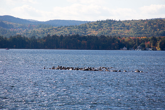 20141009 Thu 2 NH Lake Winnipesaukee 8T5A5802