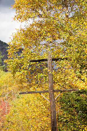 20141008 Wed 3 NH Conway 8T5A5252