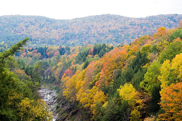 20141007 Tues 5 VT Quechee Gorge 8T5A4521