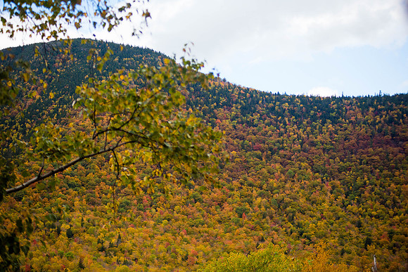 20141008 Wed 3 NH Conway 8T5A5228