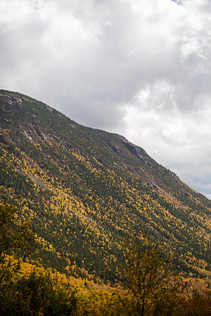 20141008 Wed 3 NH Conway 8T5A5325