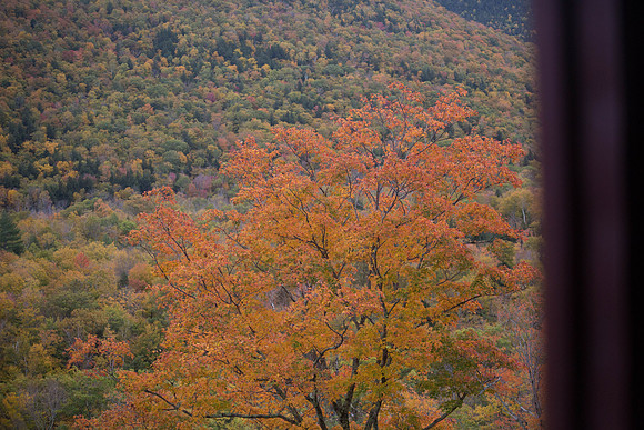 20141008 Wed 3 NH Conway 8T5A5159