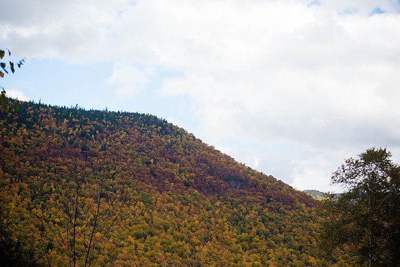 20141008 Wed 3 NH Conway 8T5A5231