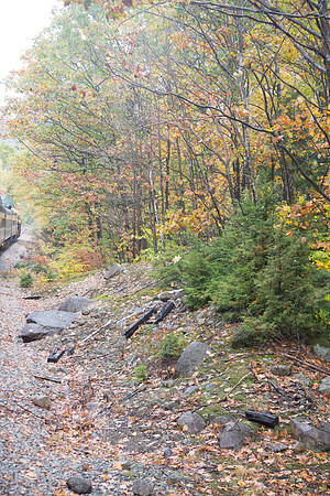 20141008 Wed 3 NH Conway 8T5A5122