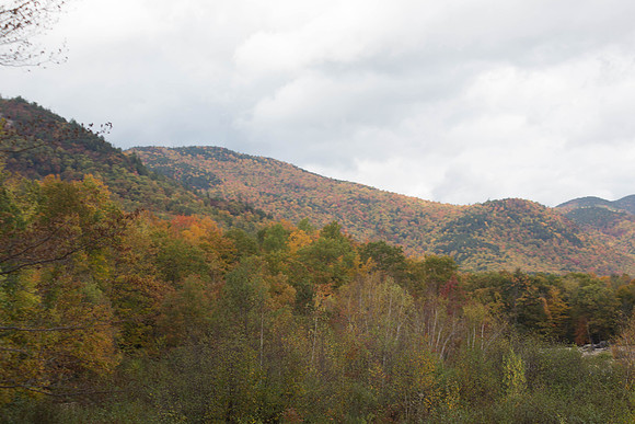20141008 Wed 3 NH Conway 8T5A4980