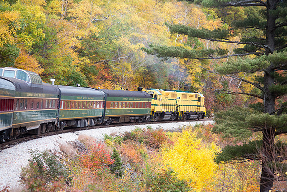 20141008 Wed 3 NH Conway 8T5A5369