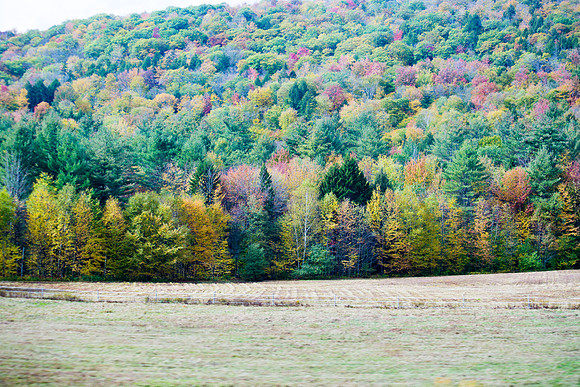 20141007 Tues 3 VT Drive to Woodstock 8T5A4379