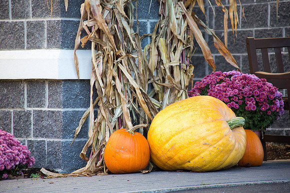 20141010 Thu 5 ME Wells 8T5A5949