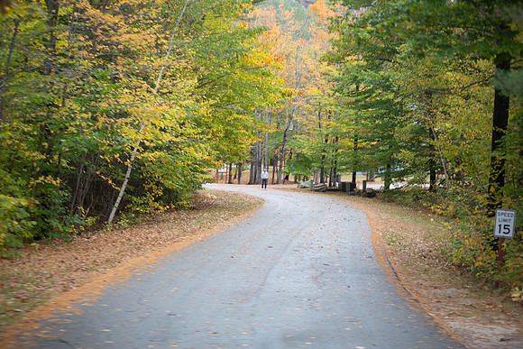 20141008 Wed 3 NH Conway 8T5A4957