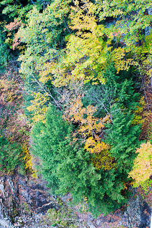 20141007 Tues 5 VT Quechee Gorge 8T5A4535