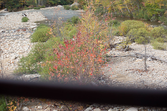 20141008 Wed 3 NH Conway 8T5A4933