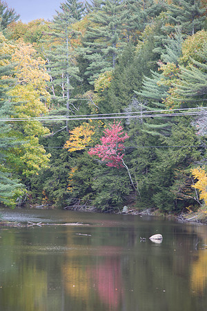 20141008 Wed 3 NH Conway 8T5A4921