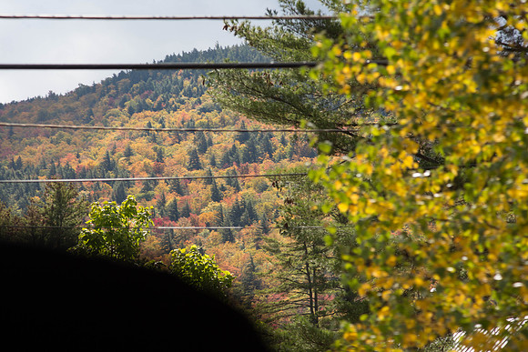 20141008 Wed 3 NH Conway 8T5A4940