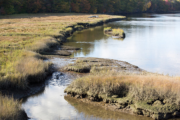 20141009 Thu 4 ME Kennebunkport 8T5A5930