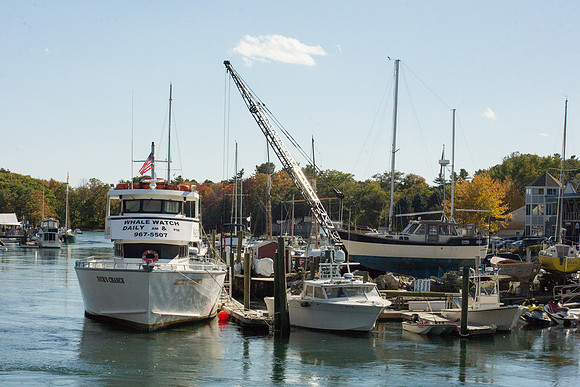 20141009 Thu 4 ME Kennebunkport 8T5A5855