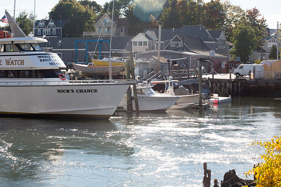20141009 Thu 4 ME Kennebunkport 8T5A5895