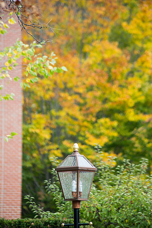 20141007 Tues 4 VT Woodstock 8T5A4490