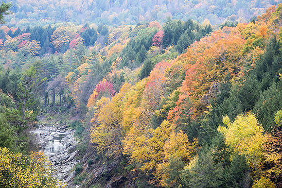 20141007 Tues 5 VT Quechee Gorge 8T5A4519