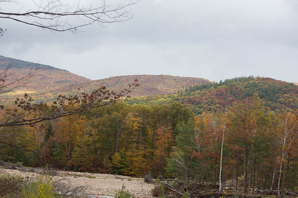 20141008 Wed 3 NH Conway 8T5A4984