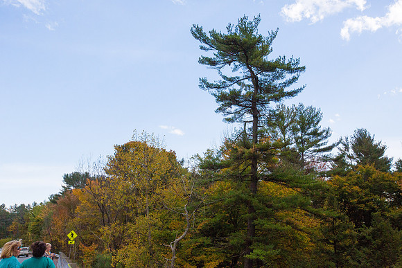 20141007 Tues 5 VT Quechee Gorge 8T5A4541
