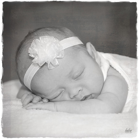 1016_85TA5801-Edit BW TornEdgeArtPrint_SloppyBorder_10x10
