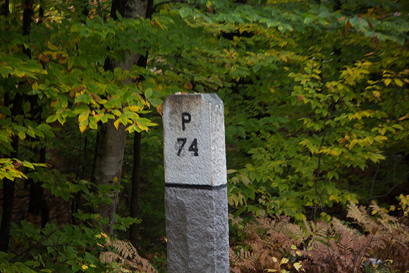 20141008 Wed 3 NH Conway 8T5A5018