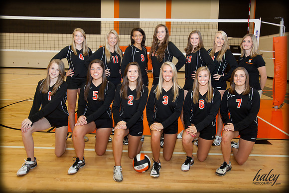 IMG_9053 Varsity VB logo