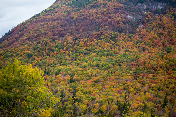 20141008 Wed 3 NH Conway 8T5A5216